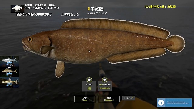 34图挪威海–星单鳍鳕，4小时两星，爆炸