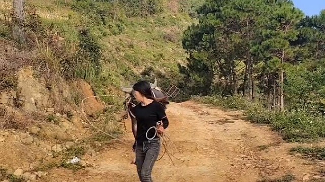 也只有我才敢拉你了