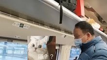 男子在高铁上强行与别人换座：你坐哪里不是一样的嘛。乘务员协调无果后乘客选择息事宁人！