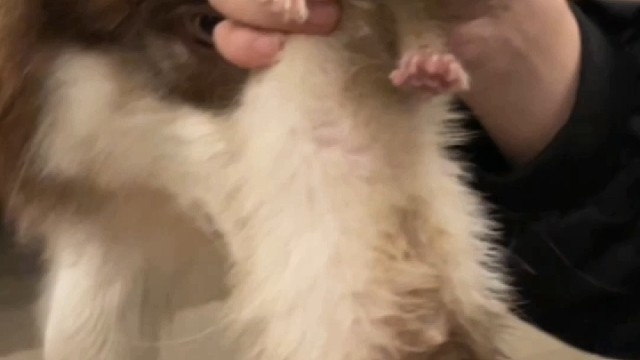 来给新伙伴起个名字吧？