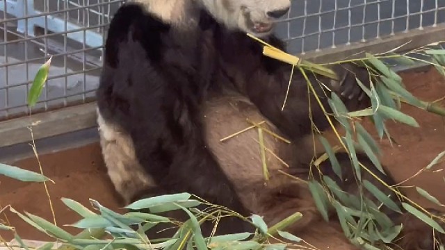 清晨的朝霞最温柔