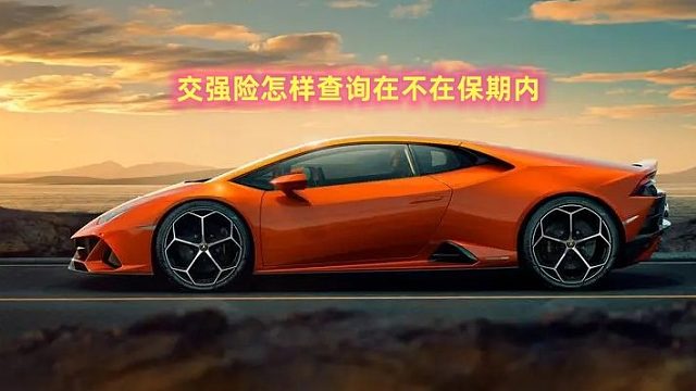 交强险怎样查询在不在保期内