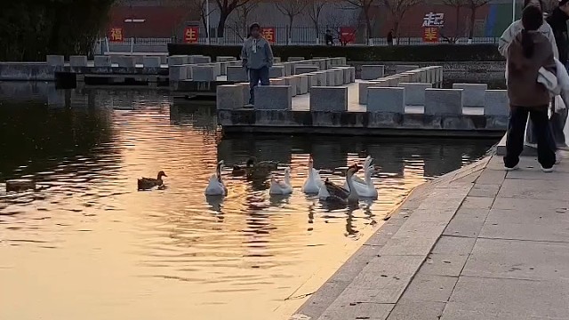 女大学生的随意手拍
