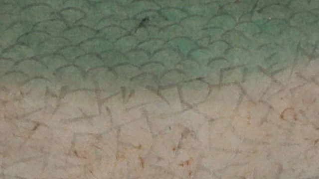 我和我越走越远
镜前的我是那么陌生
皱纹爬满了我的双眼
模糊了年少的
青春的梦
回不去了
来的未