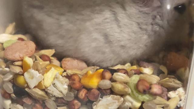 #秀出你难忘的队友