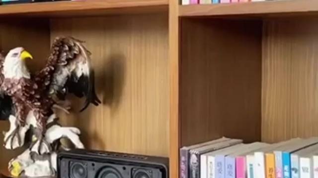 音乐响起的一瞬间把我震住了……#蓝牙音箱#低音炮#重低音