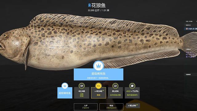 75坑蓝冠花狼鱼，直呼：卧槽！！