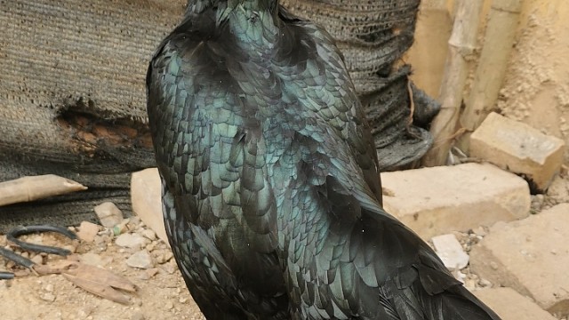 我发布了一个新视频，快来围观吧！