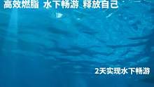 美人魚們的日?；顒?dòng)#美人魚