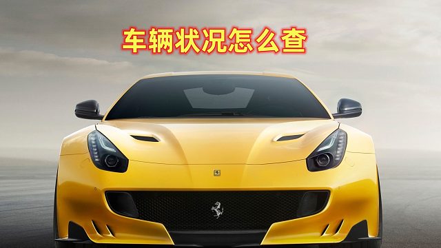 车辆状况怎么查？