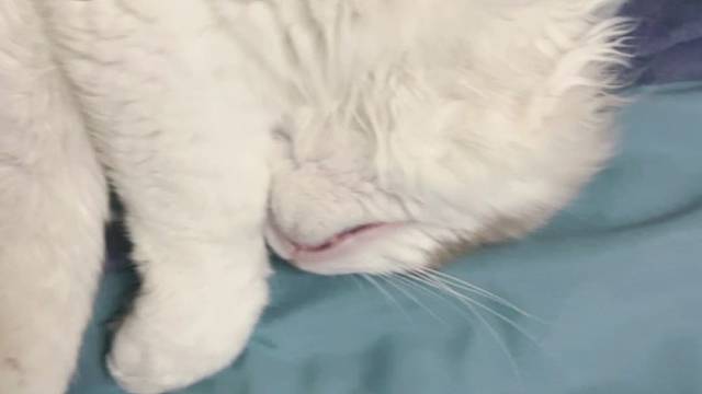 快帮我看看他怎么啦！