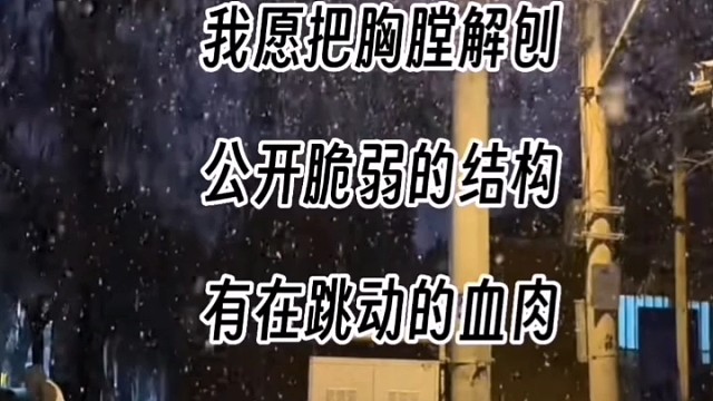 可是雪～飘进双眼