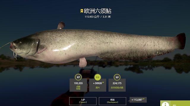 真该爽啊，今日双星。