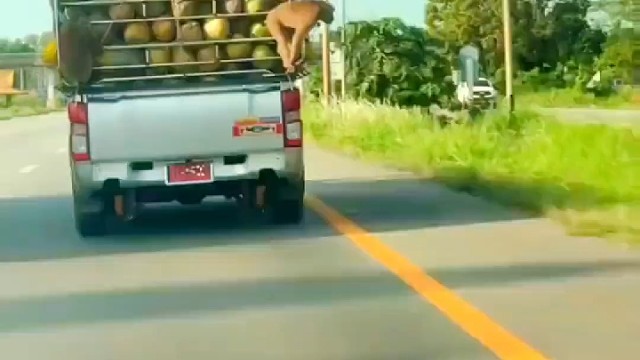 悟空，你受累了