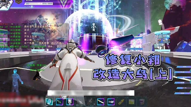 修复小邦，改造大鸟（上）