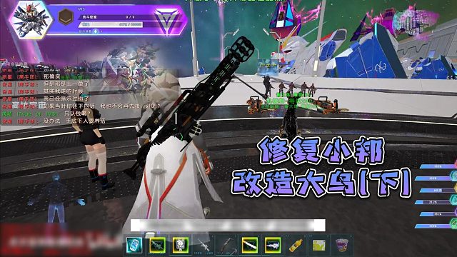 修复小邦，改造大鸟（下）