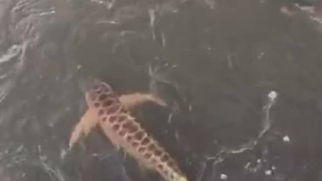 #户外#户外捕鱼撒网#户外捕鱼#实拍现场#喜欢我就关注我吧