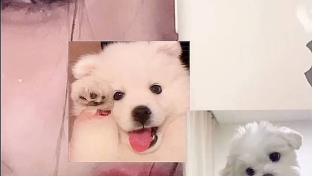 云边有个小卖部