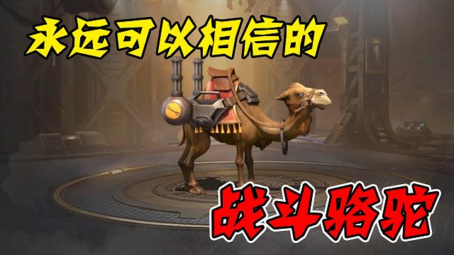 合金弹头中竟然也有传家宝？