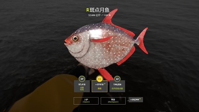 第一条月亮鱼价值不菲O(∩_∩)O