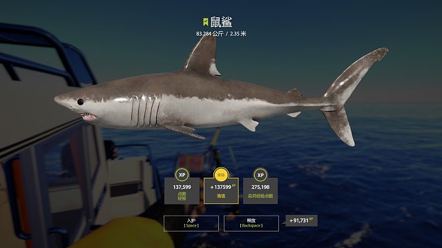 80 的鲨鱼真刺激价值不菲哦O(∩_∩)O