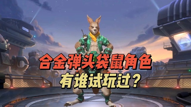 合金弹头袋鼠角色，有谁是玩过!