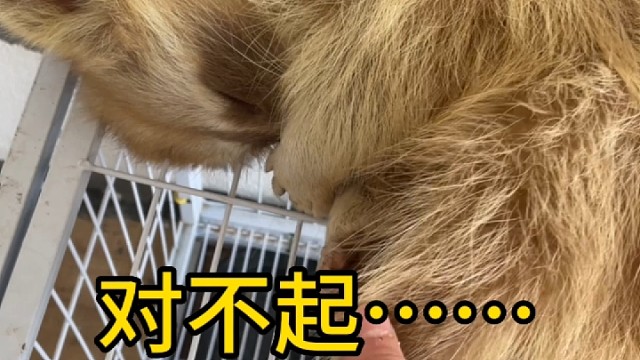 sorry……我以为…差点就扔了