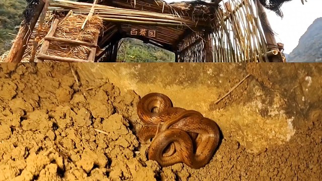 百菜园是大家的，是每一位粉丝朋友的，只要来到这里，这里所有的都有你的一份