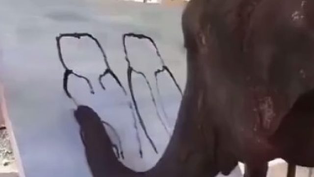 大象是经历了多少，才被迫画出这幅画_
