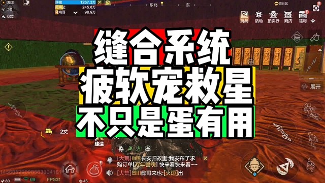 缝合系统疲软宠救星