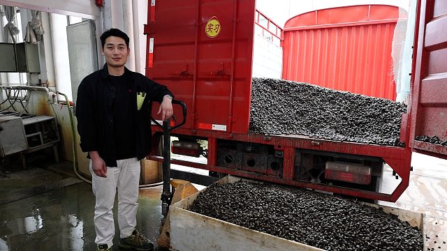 湖南小伙卖螺丝，6万斤活螺循环养，搅拌机一次洗1吨，高峰日产2万斤