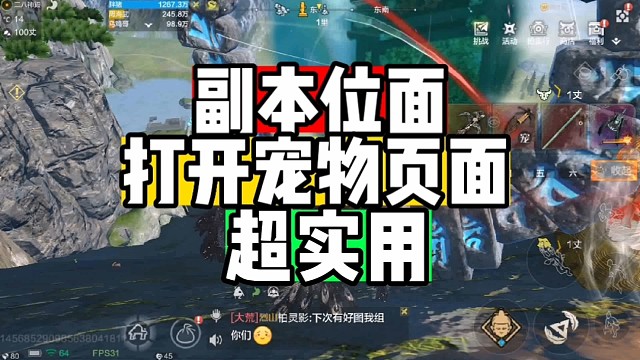 副本位面打开宠物栏