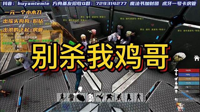 【咩咩】别杀我鸡哥