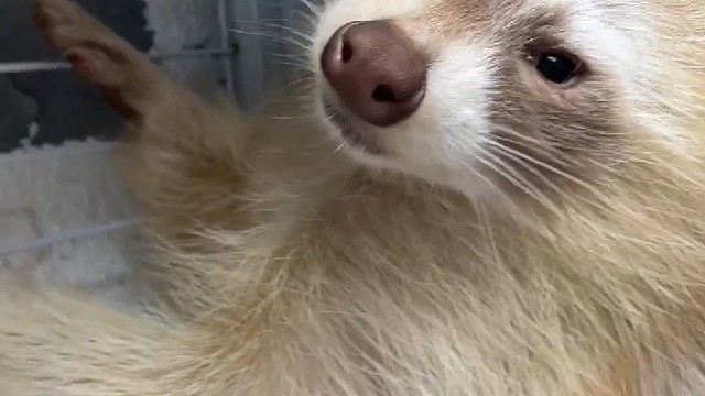 年轻人要多出去走走