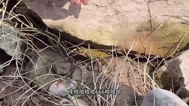 哇桶妹说好大！