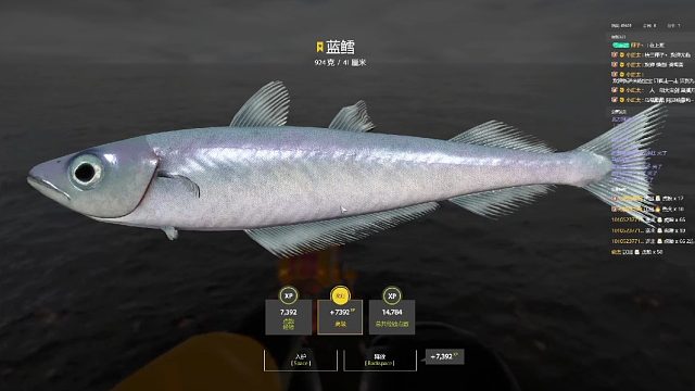 挪威海。星蓝鳕