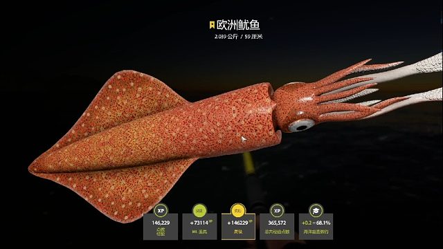 挪威海。星欧洲鱿鱼