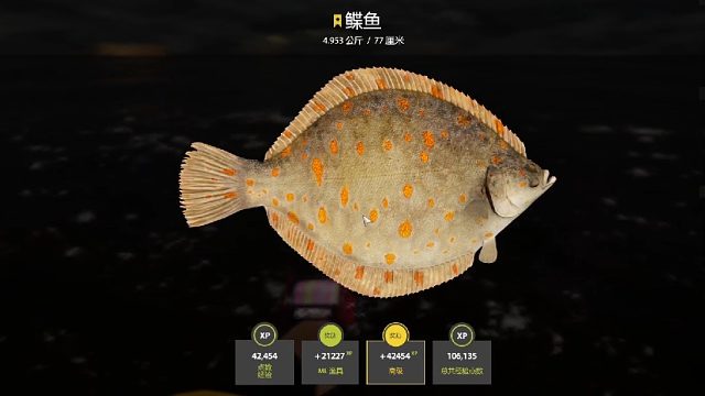 挪威海。星鲽鱼