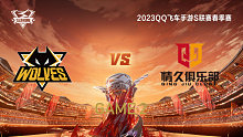 狼队 vs Q9_2_QQ飞车手游S联赛春季赛