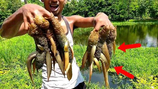 小哥用“丝瓜网”自制捕鱼陷阱