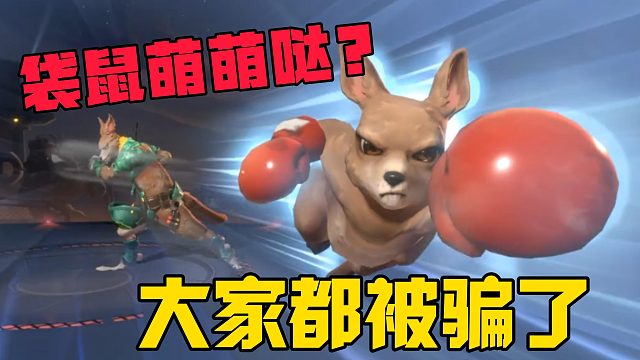 萌萌袋鼠其实是拳王？大家都被骗到了！