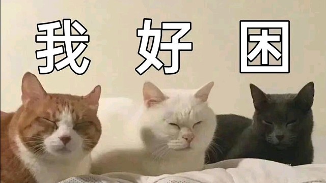 贝尔特宫脑干缺失的快乐