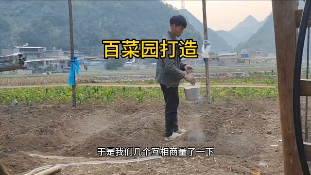 百菜园打造，今年天气不下雨，蔬菜种植进展很慢