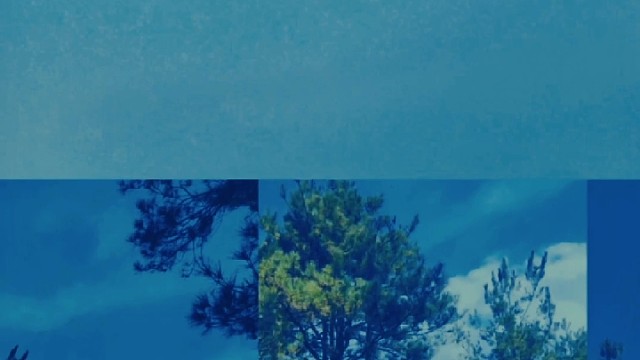 舞是乐之心,乐为舞致声