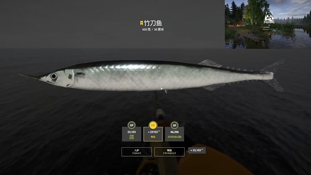 挪威海。星竹刀鱼