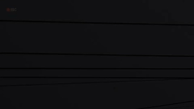 哥们在雪中也想你