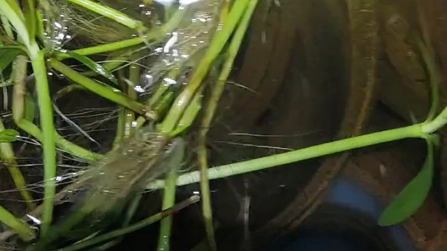 我发布了一个新视频，快来围观吧！