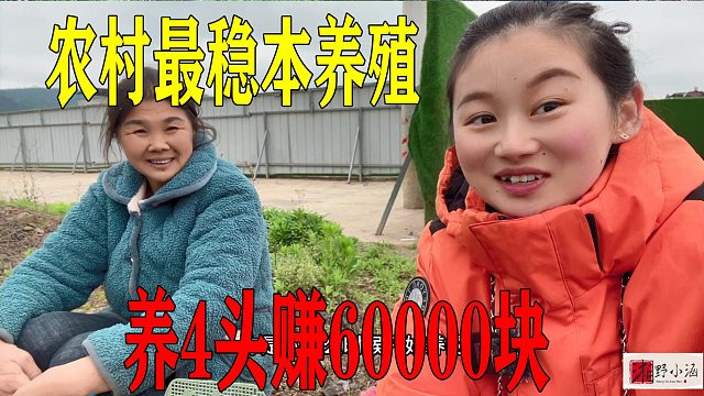 农村最稳本的养殖，整头卖20000块，肉卖60元一斤，养4头赚6万！