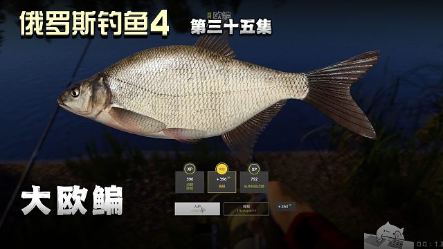 俄罗斯钓鱼4第三十五集：大欧鳊