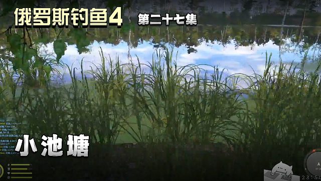 俄罗斯钓鱼4第二十七集：小池塘